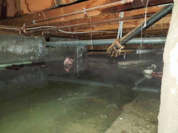 Best Fire Damage Restoration  in Pottsville, AR