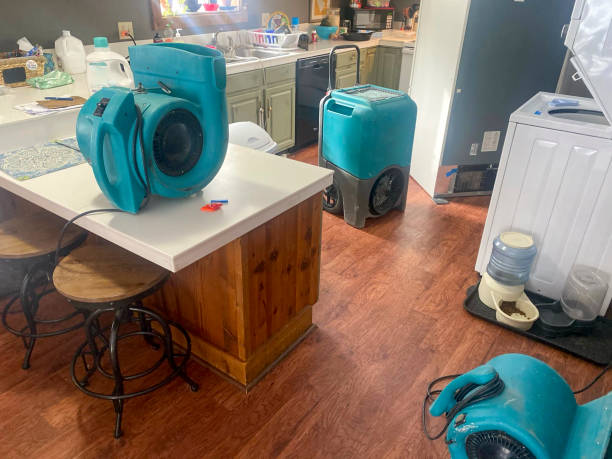 Water damage restoration insurance claims in Pottsville, AR