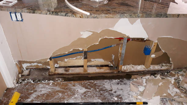 Reliable Pottsville, AR Water damage restoration Solutions
