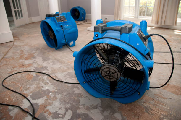 Best Flood restoration services  in Pottsville, AR