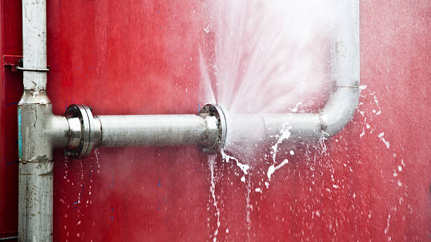 Best Water damage restoration experts  in Pottsville, AR
