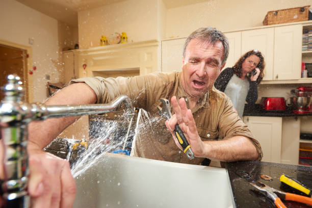 Best Water damage cleanup near me  in Pottsville, AR